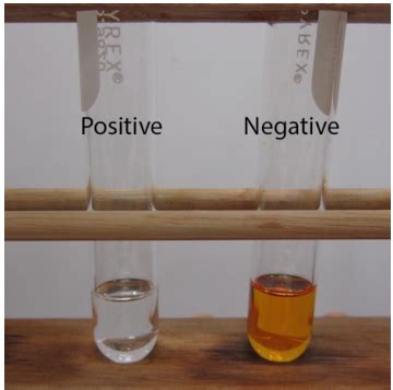 baeyer's test positive result|6.4A: Overview of Chemical Tests .